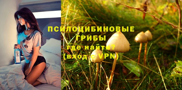 Альфа ПВП Аркадак