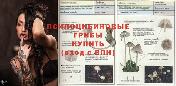 дмт Кодинск